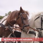 Kam na Záhorí? Tieto miesta určite stoja za návštevu!